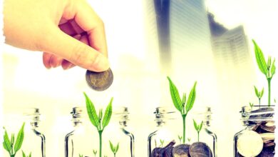 NTA Jadi Peta Baru Beban Sandwich Generation, Siapa Membayar Sekolah dan Lansia?