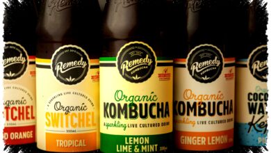 Pagi Atau Setelah Makan, Waktu Terbaik Minum Kombucha Yang Sering Diabaikan