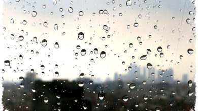 Pagi Sampai Malam Cuaca Jatim 8 April 2026, Gerimis Menyisir dan Hujan Lebat Mengintai