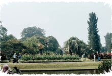 Pagi Sejuk, Sore Berpotensi Hujan di Jawa Barat, Panduan Aksi Hari Ini