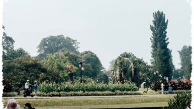 Pagi Sejuk, Sore Berpotensi Hujan di Jawa Barat, Panduan Aksi Hari Ini Pagi Sejuk, Sore Berpotensi Hujan di Jawa Barat, Panduan Aksi Hari Ini