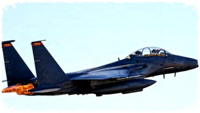 Pakar Ungkap Arti Jatuhnya F-15 AS, Pukulan Prestise Bagi Iran dan AS Goyah