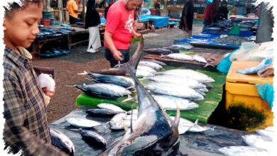 Pasokan Menipis, Harga Ikan Laut Segar di Aceh Bertahan Tinggi Sejak Lebaran