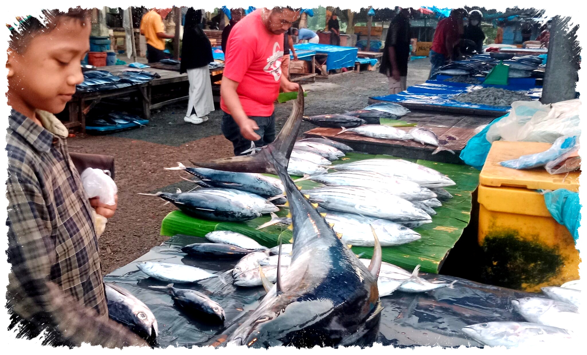 Pasokan Menipis, Harga Ikan Laut Segar di Aceh Bertahan Tinggi Sejak Lebaran