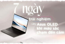 Pengiriman Monitor OLED Meledak 92%, Asus Masih Tak Tergoyahkan di Puncak Pasar Pengiriman Monitor OLED Meledak 92%, Asus Masih Tak Tergoyahkan di Puncak Pasar