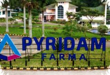 Permintaan Menguat, PYFA Tancap Gas Cetak Penjualan Bersih Rp2,76 Triliun