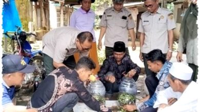Petani Probolinggo Ubah Eceng Gondok Jadi Penyubur Lahan, Jalan Baru Pulihkan Tanah Petani Probolinggo Ubah Eceng Gondok Jadi Penyubur Lahan, Jalan Baru Pulihkan Tanah