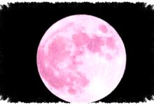 Pink Moon 1 April 2026 Bukan Bulan Merah Muda, Ini Fakta yang Sering Disalahpahami Pink Moon 1 April 2026 Bukan Bulan Merah Muda, Ini Fakta yang Sering Disalahpahami