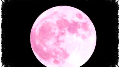 Pink Moon 1 April 2026 Bukan Bulan Merah Muda, Ini Fakta yang Sering Disalahpahami