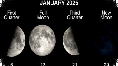 Pink Moon Malam Ini Bukan Merah Muda, Ini Waktu Terbaik Menyaksikannya