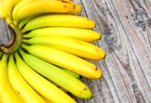 Pisang Hijau Bukan Pemenangnya, Ahli Harvard Justru Memilih Pisang Kuning Setengah Matang