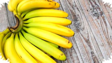 Pisang Hijau Bukan Pemenangnya, Ahli Harvard Justru Memilih Pisang Kuning Setengah Matang