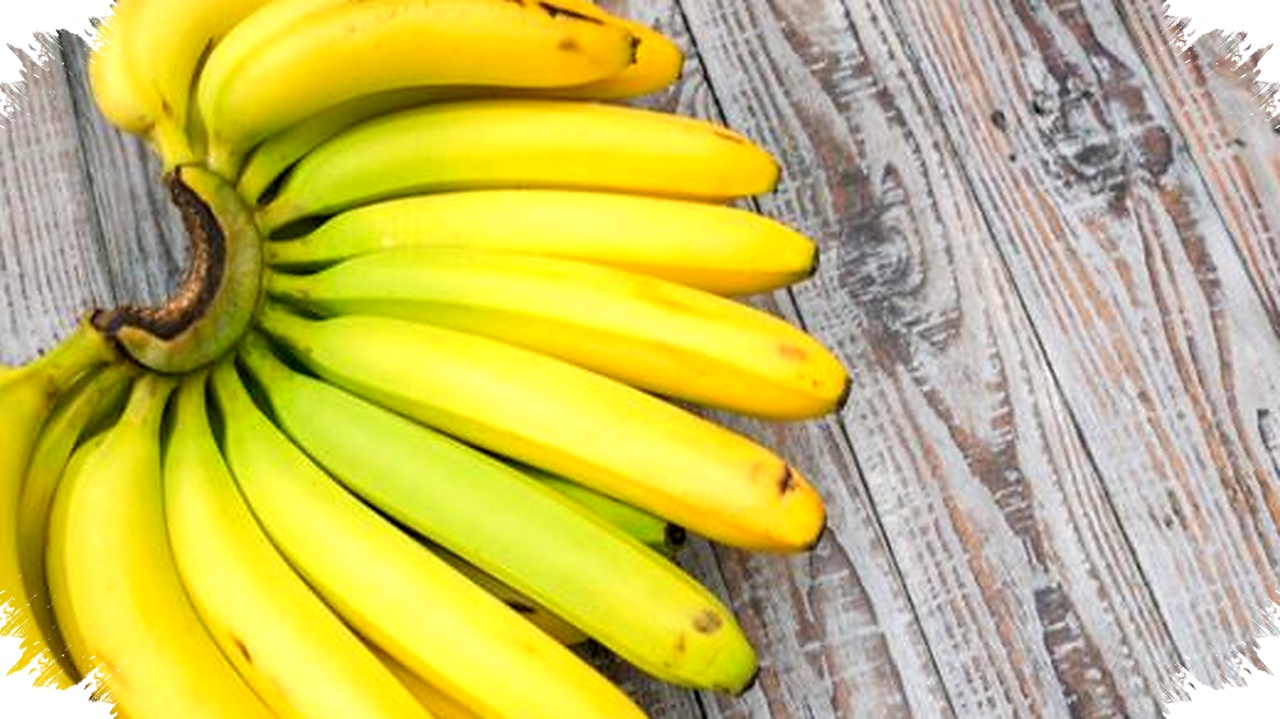 Pisang Hijau Bukan Pemenangnya, Ahli Harvard Justru Memilih Pisang Kuning Setengah Matang
