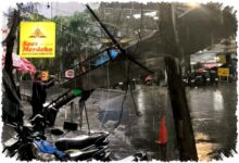 Pohon Tumbang Renggut Nyawa di Bandung, Farhan Sampaikan Duka dan Peringatkan Warga