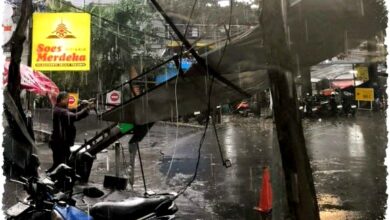 Pohon Tumbang Renggut Nyawa di Bandung, Farhan Sampaikan Duka dan Peringatkan Warga Pohon Tumbang Renggut Nyawa di Bandung, Farhan Sampaikan Duka dan Peringatkan Warga