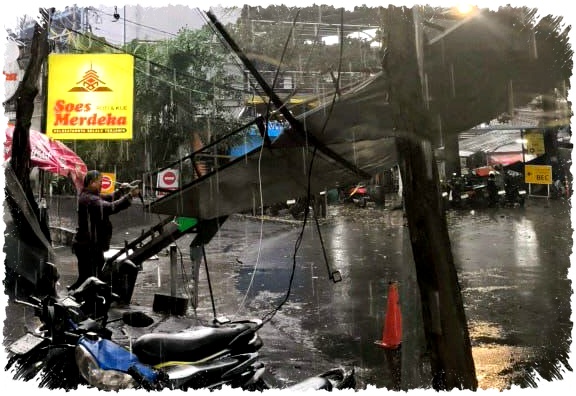 Pohon Tumbang Renggut Nyawa di Bandung, Farhan Sampaikan Duka dan Peringatkan Warga