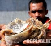 Polda Jateng Bongkar TPPU Investasi Walet Fiktif, Korban Semarang Rugi Rp78 Miliar