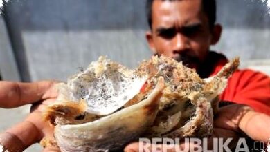 Polda Jateng Bongkar TPPU Investasi Walet Fiktif, Korban Semarang Rugi Rp78 Miliar