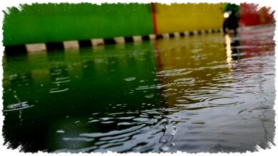 Prakiraan Cuaca Jawa Timur 8 April 2026, Hujan Ringan di 28 Wilayah