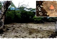 Pulau Culasawani Ternyata Tumpukan Kerang, Jejak Hunian Kuno di Fiji Terkuak Pulau Culasawani Ternyata Tumpukan Kerang, Jejak Hunian Kuno di Fiji Terkuak