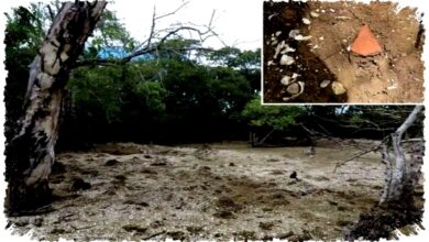 Pulau Culasawani Ternyata Tumpukan Kerang, Jejak Hunian Kuno di Fiji Terkuak Pulau Culasawani Ternyata Tumpukan Kerang, Jejak Hunian Kuno di Fiji Terkuak