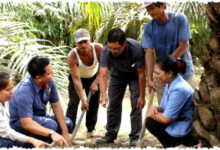 Rahasia Di Balik Dominasi PalmCo, Kunci Pendampingan PSR Nasional