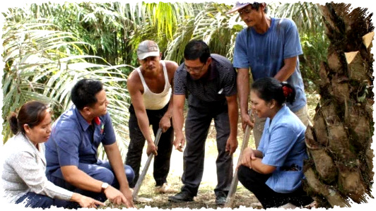 Rahasia Di Balik Dominasi PalmCo, Kunci Pendampingan PSR Nasional