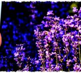 Rumor iPhone Fold Mengerucut, Engsel Cetak 3D Disiapkan Demi Lipatan Layar Nyaris Hilang Rumor iPhone Fold Mengerucut, Engsel Cetak 3D Disiapkan Demi Lipatan Layar Nyaris Hilang