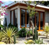 Saat Air Makin Langka, 7 Jenis Kebun Ini Tetap Indah Tanpa Boros Siram