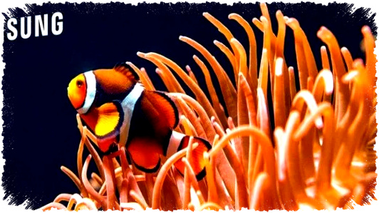 Samsung TV 2026 Kebagian Google Photos, Foto Pribadi Kini Tampil di Layar Besar