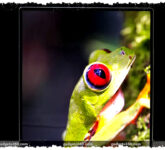 Samsung Z Fold 8 dan Flip 8 Terancam Stagnan, Layar Lawas Dipakai Tiga Tahun Berturut-Turut