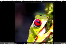 Samsung Z Fold 8 dan Flip 8 Terancam Stagnan, Layar Lawas Dipakai Tiga Tahun Berturut-Turut