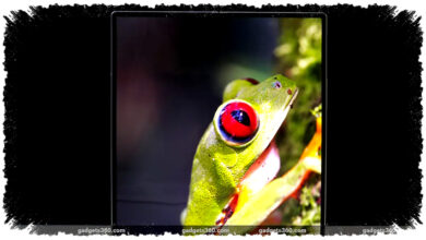 Samsung Z Fold 8 dan Flip 8 Terancam Stagnan, Layar Lawas Dipakai Tiga Tahun Berturut-Turut