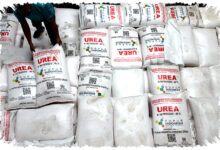 Selat Hormuz Mengguncang Dunia, Stok Pupuk Nasional Tetap Aman dan Pabrik Jalan Selat Hormuz Mengguncang Dunia, Stok Pupuk Nasional Tetap Aman dan Pabrik Jalan