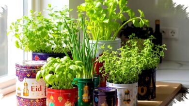 Sisa Dapur Jangan Dibuang, 10 Sayuran Ini Bisa Tumbuh Lagi dan Panen Berkali-Kali