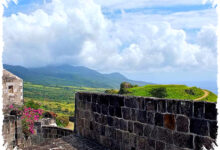 St. Kitts And Nevis Cuma 53 Ribu Penduduk, Negara Kecil Yang Menjual Kewarganegaraan