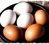 Telur Ayam Atau Bebek, Mana Yang Lebih Sehat Untuk Tubuh Anda?
