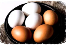 Telur Ayam Atau Bebek, Mana Yang Lebih Sehat Untuk Tubuh Anda?