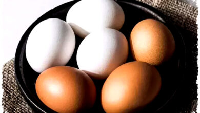 Telur Ayam Atau Bebek, Mana Yang Lebih Sehat Untuk Tubuh Anda?