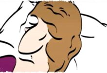 Tes Ilusi Optik Ini Menampar Kebiasaan Kerja Kamu, Pekerja Keras atau Mudah Kewalahan? Tes Ilusi Optik Ini Menampar Kebiasaan Kerja Kamu, Pekerja Keras atau Mudah Kewalahan?