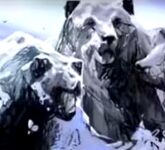 Tes Kepribadian Beruang atau Pegunungan, Cara Kamu Menyelesaikan Masalah Bisa Terbongkar Tes Kepribadian Beruang atau Pegunungan, Cara Kamu Menyelesaikan Masalah Bisa Terbongkar