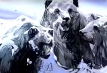 Tes Kepribadian Beruang atau Pegunungan, Cara Kamu Menyelesaikan Masalah Bisa Terbongkar