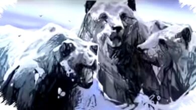 Tes Kepribadian Beruang atau Pegunungan, Cara Kamu Menyelesaikan Masalah Bisa Terbongkar