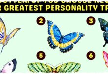 Tes Pilih Kupu-Kupu Ini, Sifat Tersembunyimu Bisa Terbaca dalam Sekejap!