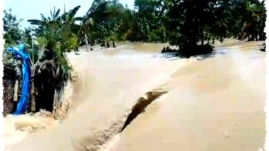 Tiga Tanggul Jebol di Sungai Tuntang, Demak Kembali Dilanda Banjir dan Warga Dievakuasi