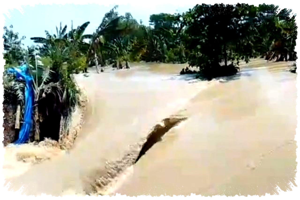 Tiga Tanggul Jebol di Sungai Tuntang, Demak Kembali Dilanda Banjir dan Warga Dievakuasi