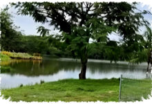 Video HP Anti Goyang yang Sulit Ditandingi, Uji Vivo X70 Pro Plus di Taman Rekreasi!