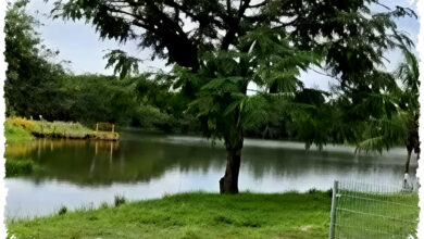 Video HP Anti Goyang yang Sulit Ditandingi, Uji Vivo X70 Pro Plus di Taman Rekreasi!