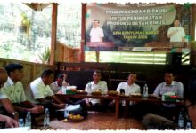 Wakadivre Perhutani Jateng Tinjau Banyumas Barat, Dorong Akselerasi Getah Pinus Wakadivre Perhutani Jateng Tinjau Banyumas Barat, Dorong Akselerasi Getah Pinus