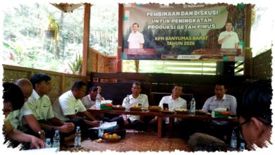 Wakadivre Perhutani Jateng Tinjau Banyumas Barat, Dorong Akselerasi Getah Pinus Wakadivre Perhutani Jateng Tinjau Banyumas Barat, Dorong Akselerasi Getah Pinus